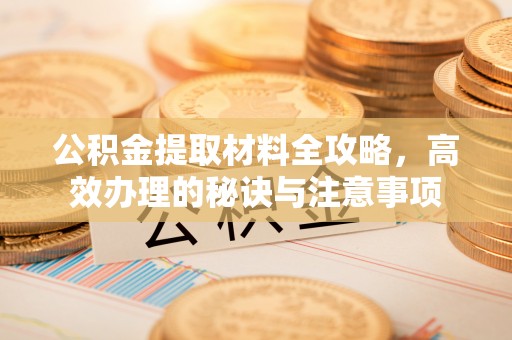 卢氏公积金提取材料全攻略，高效办理的秘诀与注意事项