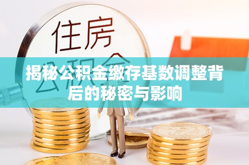 卢氏揭秘公积金缴存基数调整背后的秘密与影响