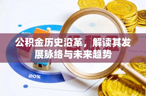 卢氏公积金历史沿革，解读其发展脉络与未来趋势