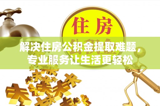 卢氏解决住房公积金提取难题，专业服务让生活更轻松