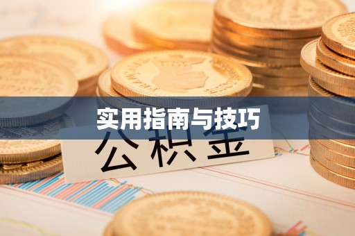 卢氏实用指南与技巧