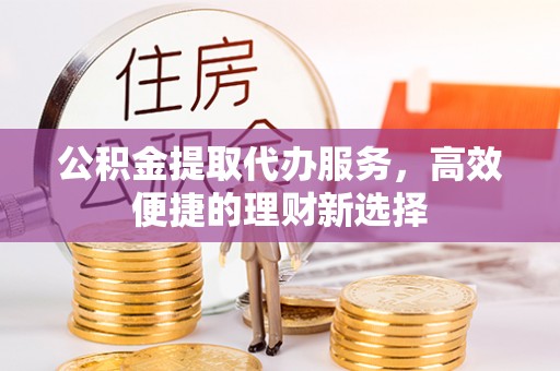 卢氏公积金提取代办服务，高效便捷的理财新选择