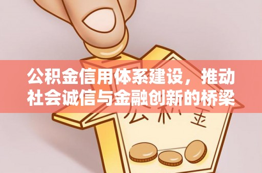 卢氏公积金信用体系建设，推动社会诚信与金融创新的桥梁