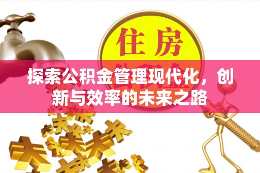 卢氏探索公积金管理现代化，创新与效率的未来之路
