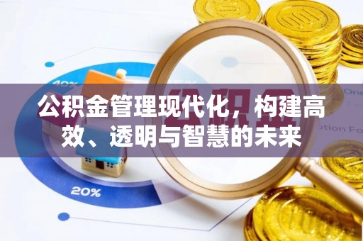 卢氏公积金管理现代化，构建高效、透明与智慧的未来