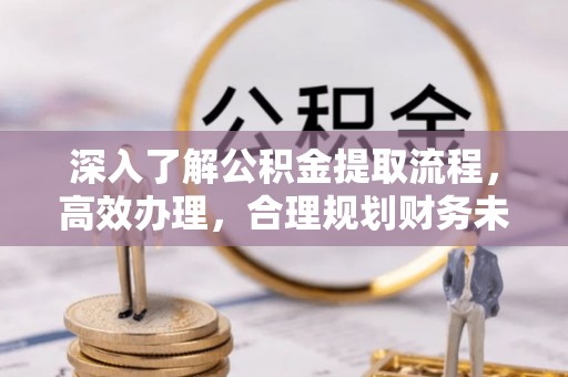 卢氏深入了解公积金提取流程，高效办理，合理规划财务未来