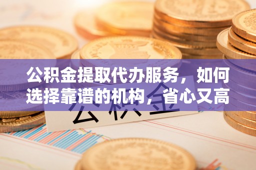 卢氏公积金提取代办服务，如何选择靠谱的机构，省心又高效