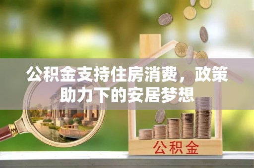卢氏公积金支持住房消费，政策助力下的安居梦想