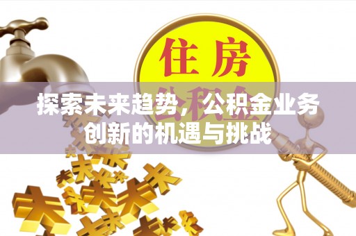 卢氏探索未来趋势，公积金业务创新的机遇与挑战