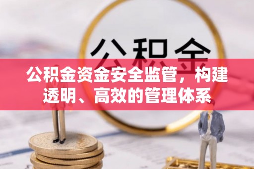 卢氏公积金资金安全监管，构建透明、高效的管理体系