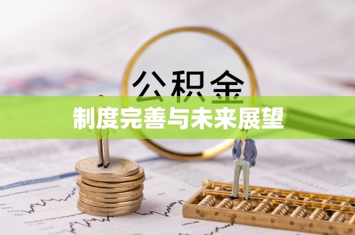 卢氏制度完善与未来展望