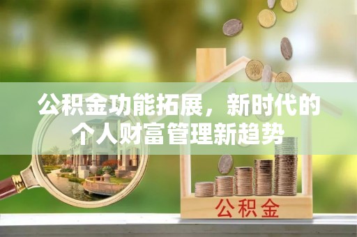 卢氏公积金功能拓展，新时代的个人财富管理新趋势