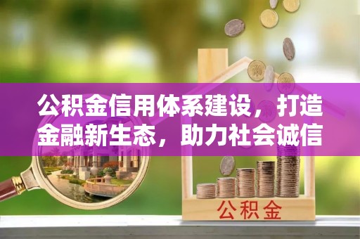 卢氏公积金信用体系建设，打造金融新生态，助力社会诚信发展