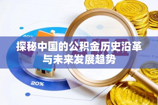 卢氏探秘中国的公积金历史沿革与未来发展趋势