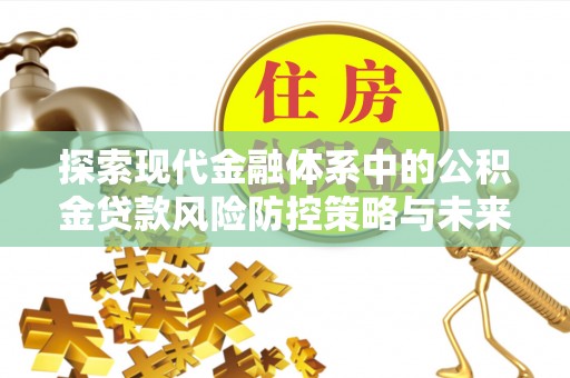 卢氏探索现代金融体系中的公积金贷款风险防控策略与未来发展趋势