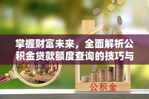 卢氏掌握财富未来，全面解析公积金贷款额度查询的技巧与策略