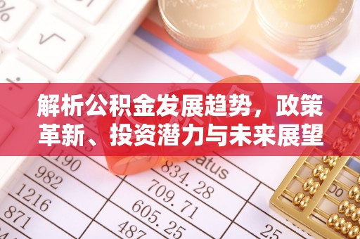 卢氏解析公积金发展趋势，政策革新、投资潜力与未来展望