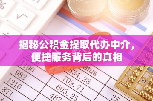 卢氏揭秘公积金提取代办中介，便捷服务背后的真相