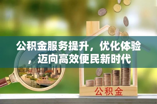 卢氏公积金服务提升，优化体验，迈向高效便民新时代