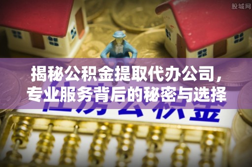 卢氏揭秘公积金提取代办公司，专业服务背后的秘密与选择指南