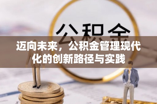 卢氏迈向未来，公积金管理现代化的创新路径与实践