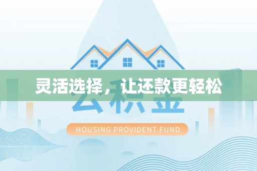 卢氏灵活选择，让还款更轻松