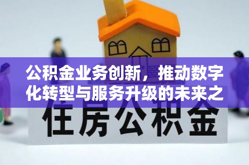 卢氏公积金业务创新，推动数字化转型与服务升级的未来之路