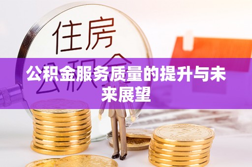卢氏公积金服务质量的提升与未来展望