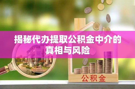 卢氏揭秘代办提取公积金中介的真相与风险