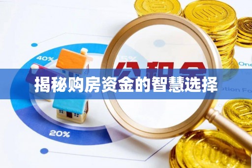 卢氏揭秘购房资金的智慧选择