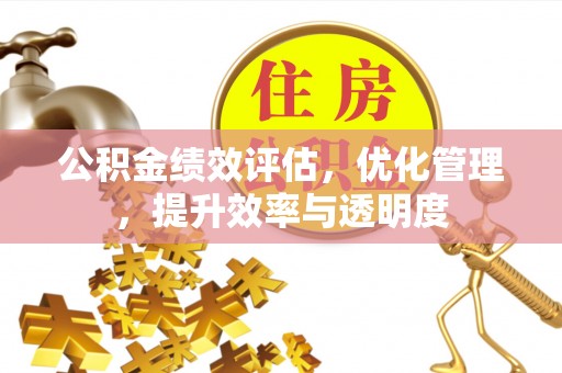 卢氏公积金绩效评估，优化管理，提升效率与透明度