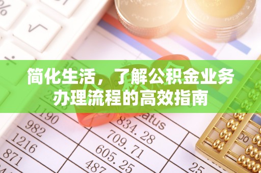 卢氏简化生活，了解公积金业务办理流程的高效指南