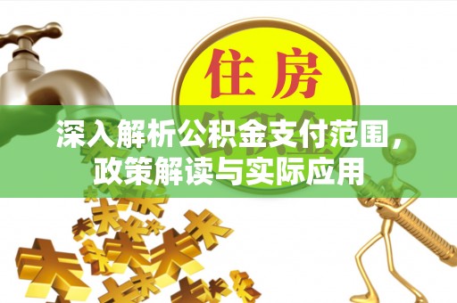 卢氏深入解析公积金支付范围，政策解读与实际应用