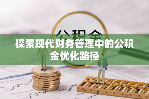 卢氏探索现代财务管理中的公积金优化路径