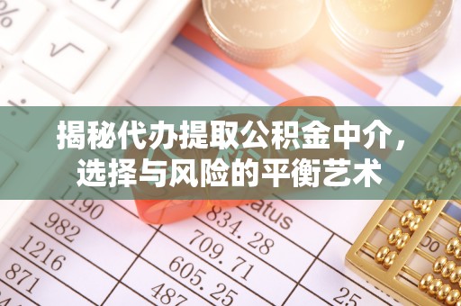 卢氏揭秘代办提取公积金中介，选择与风险的平衡艺术