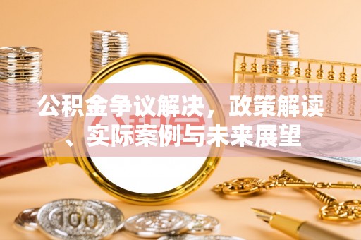 卢氏公积金争议解决，政策解读、实际案例与未来展望