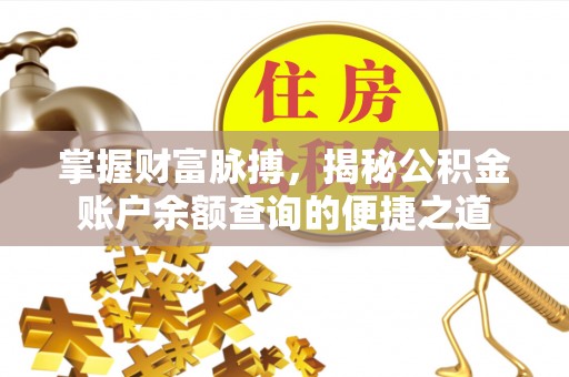 卢氏掌握财富脉搏，揭秘公积金账户余额查询的便捷之道
