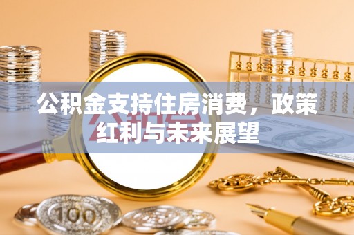 卢氏公积金支持住房消费，政策红利与未来展望