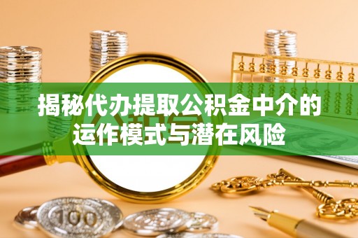 卢氏揭秘代办提取公积金中介的运作模式与潜在风险