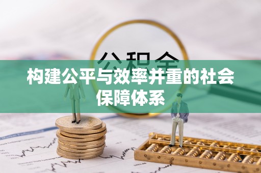 卢氏构建公平与效率并重的社会保障体系