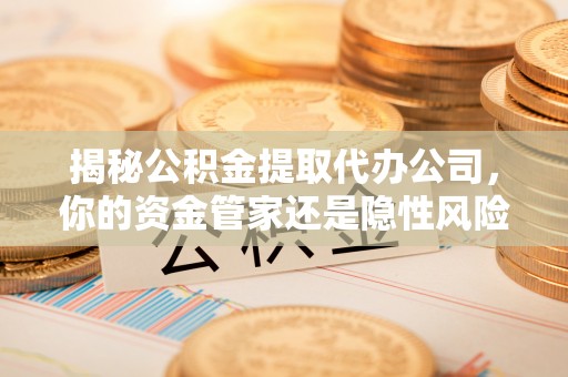 卢氏揭秘公积金提取代办公司，你的资金管家还是隐性风险？