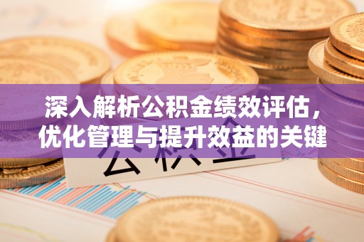 卢氏深入解析公积金绩效评估，优化管理与提升效益的关键路径