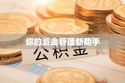 卢氏你的资金管理新助手