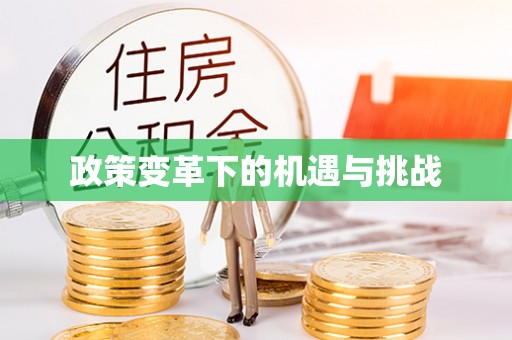 卢氏政策变革下的机遇与挑战