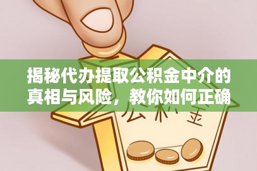 卢氏揭秘代办提取公积金中介的真相与风险，教你如何正确操作