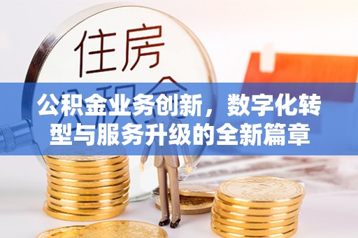 卢氏公积金业务创新，数字化转型与服务升级的全新篇章