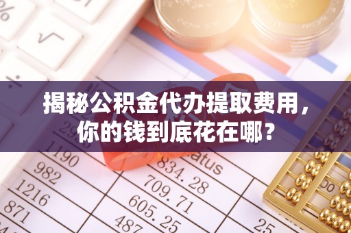 卢氏揭秘公积金代办提取费用，你的钱到底花在哪？