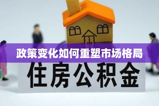 卢氏政策变化如何重塑市场格局