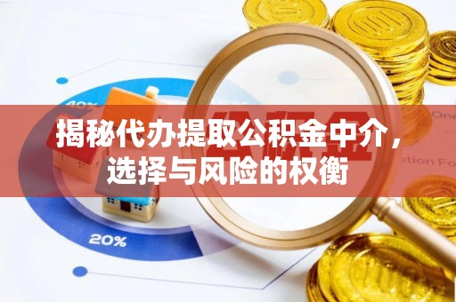 卢氏揭秘代办提取公积金中介，选择与风险的权衡