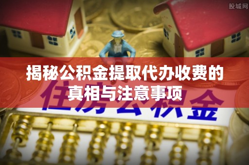 卢氏揭秘公积金提取代办收费的真相与注意事项